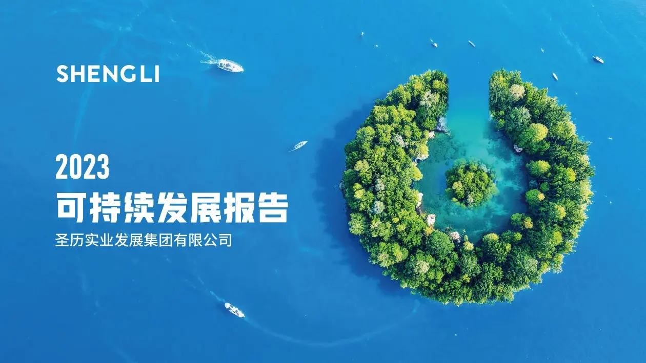 圣历集团战略发展 · P01