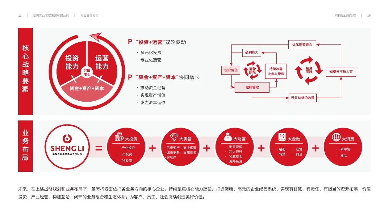 圣历集团战略发展 · P10