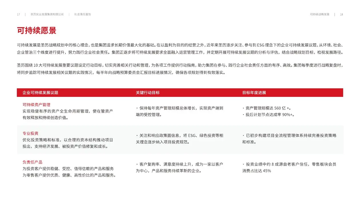 圣历集团战略发展 · P11