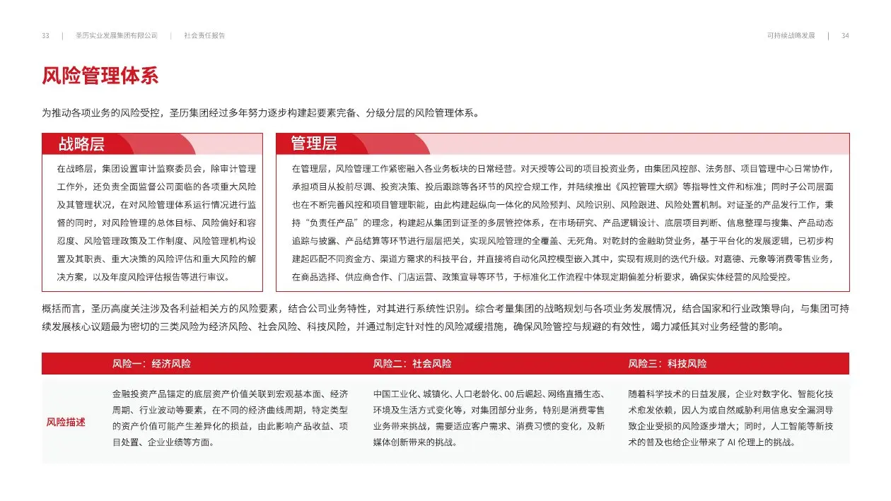 圣历集团战略发展 · P19