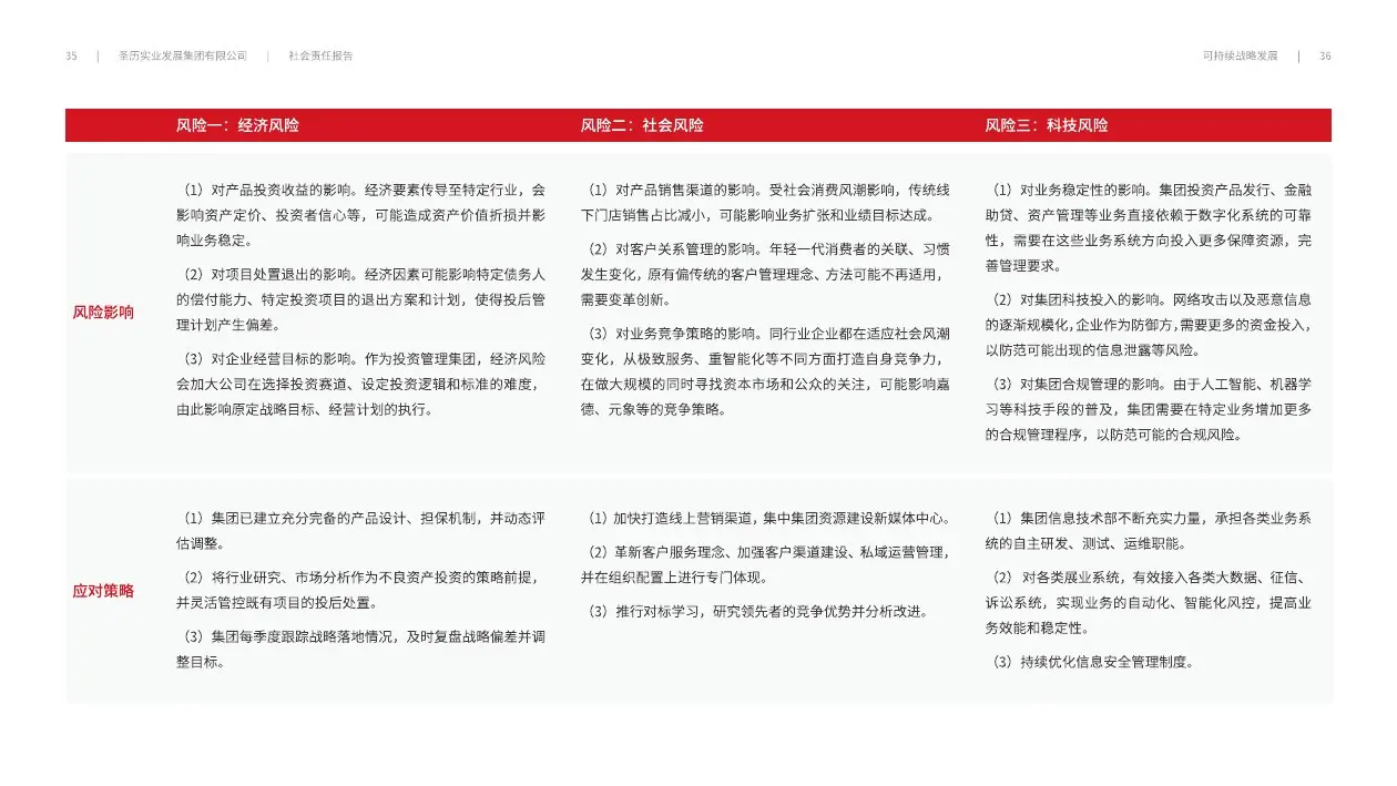 圣历集团战略发展 · P20