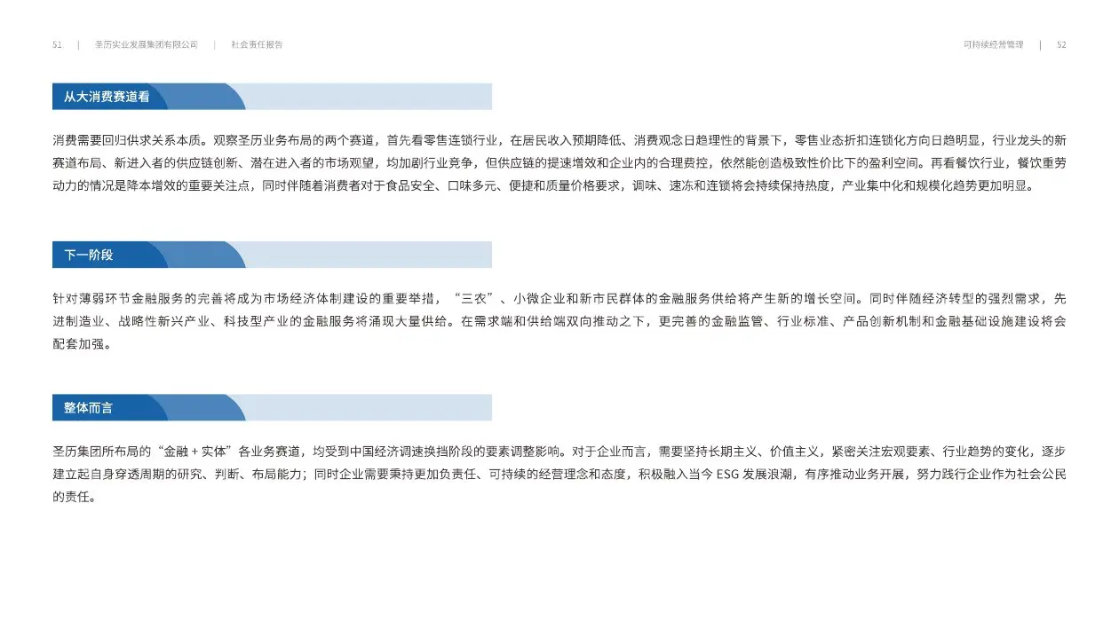 圣历集团战略发展 · P28