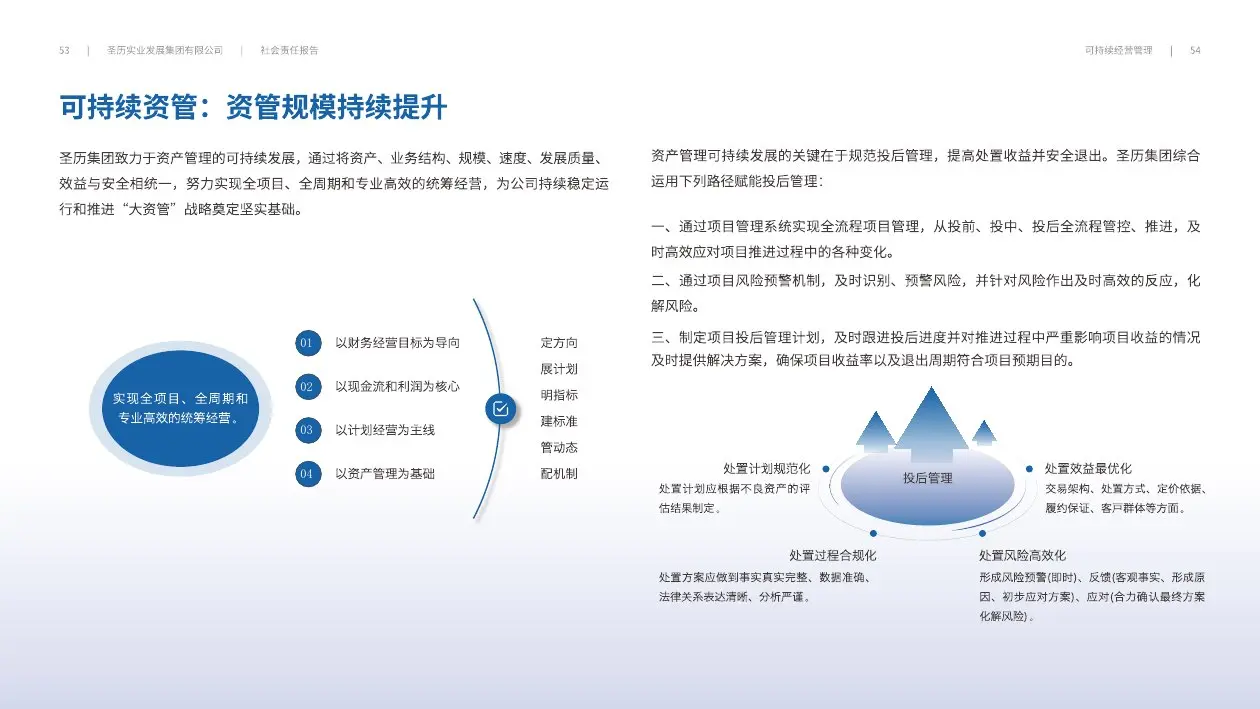 圣历集团战略发展 · P29