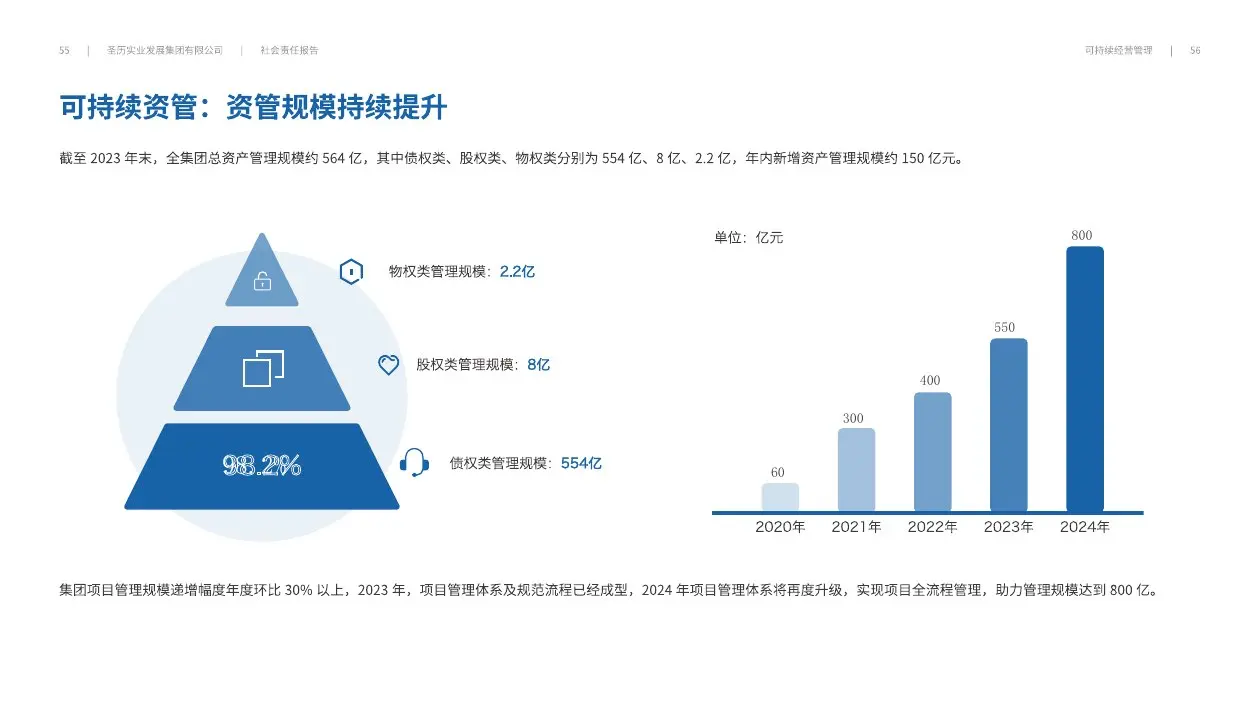 圣历集团战略发展 · P30