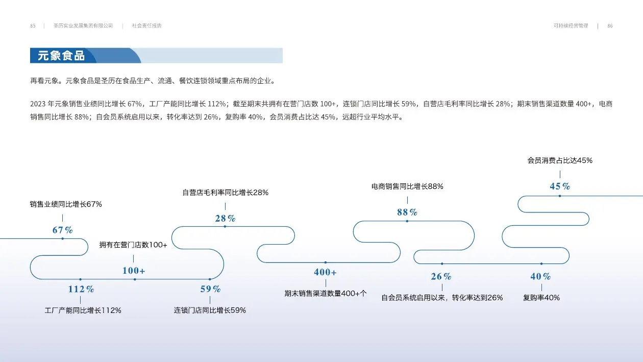圣历集团战略发展 · P45