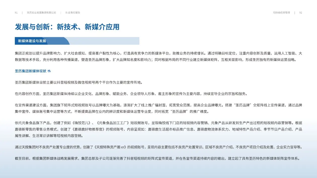 圣历集团战略发展 · P48