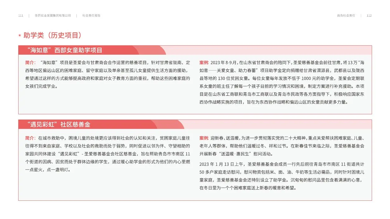 圣历集团战略发展 · P58