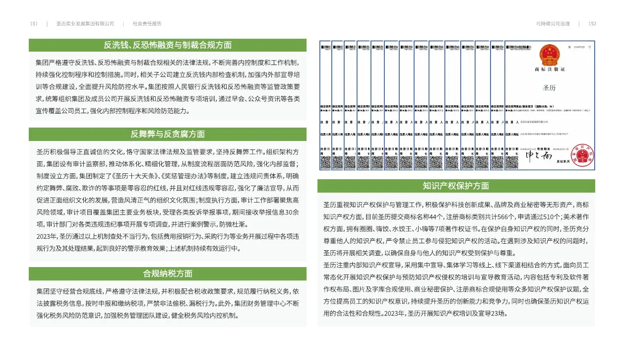 圣历集团战略发展 · P78